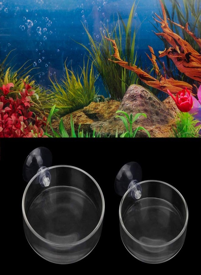 Senzeal 2PCS Shrimp Feeding Dish Glass Aquarium Fish Tank Reptiles Round Feeder Bowl with Suction Cup - Image 1